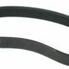 Porter-Cable Porter Cable Genuine OEM Replacement Belt For PC305TP # 22-546